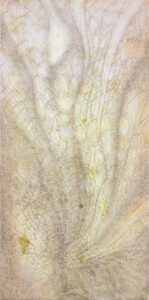 veins of the springtime